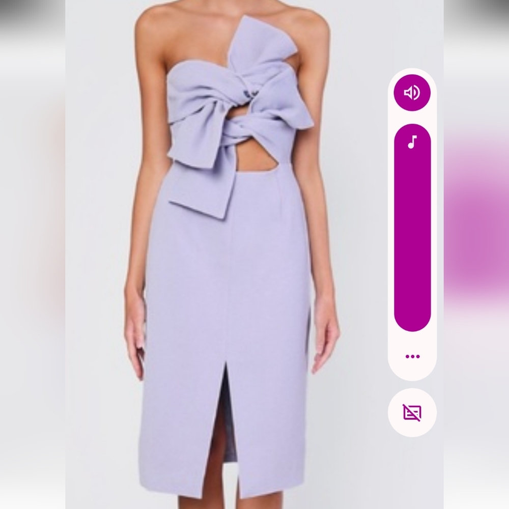 Elegant Lavender Gray Strapless Dress NWT Size 16. TRUE DESCENDANTS NWT